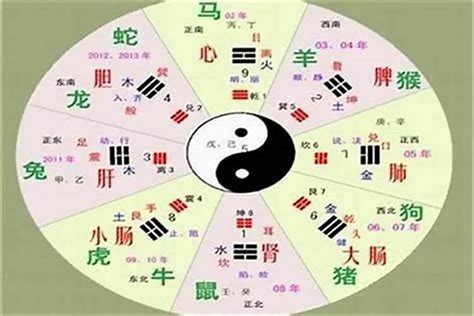 天字五行|天字的五行属性